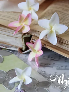 Ножи для вырубки скрапбукинг Плюмерия фото 2